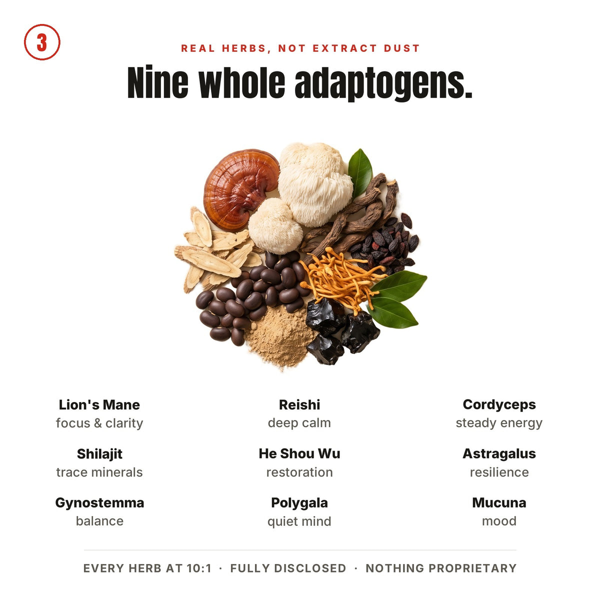 Nine whole adaptogens: Lion&