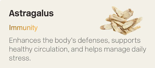Image of Astragalus along with its basic functions