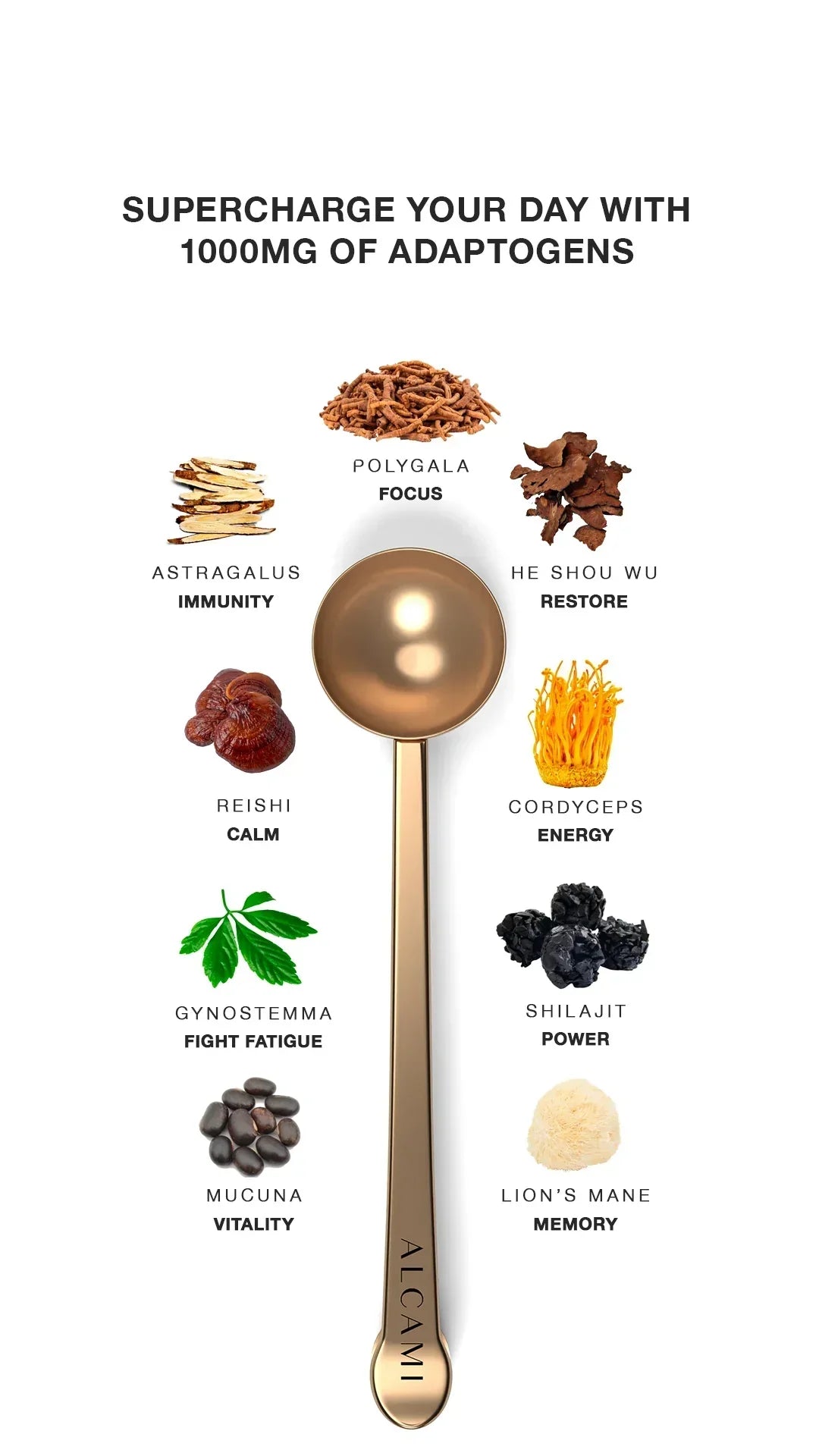 Managing Stress with Adaptogenic Herbs: A Comprehensive Guide