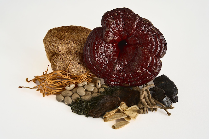 Unlocking Ancient Wisdom: How Astragalus Root Boosts Your Qi and Immune System