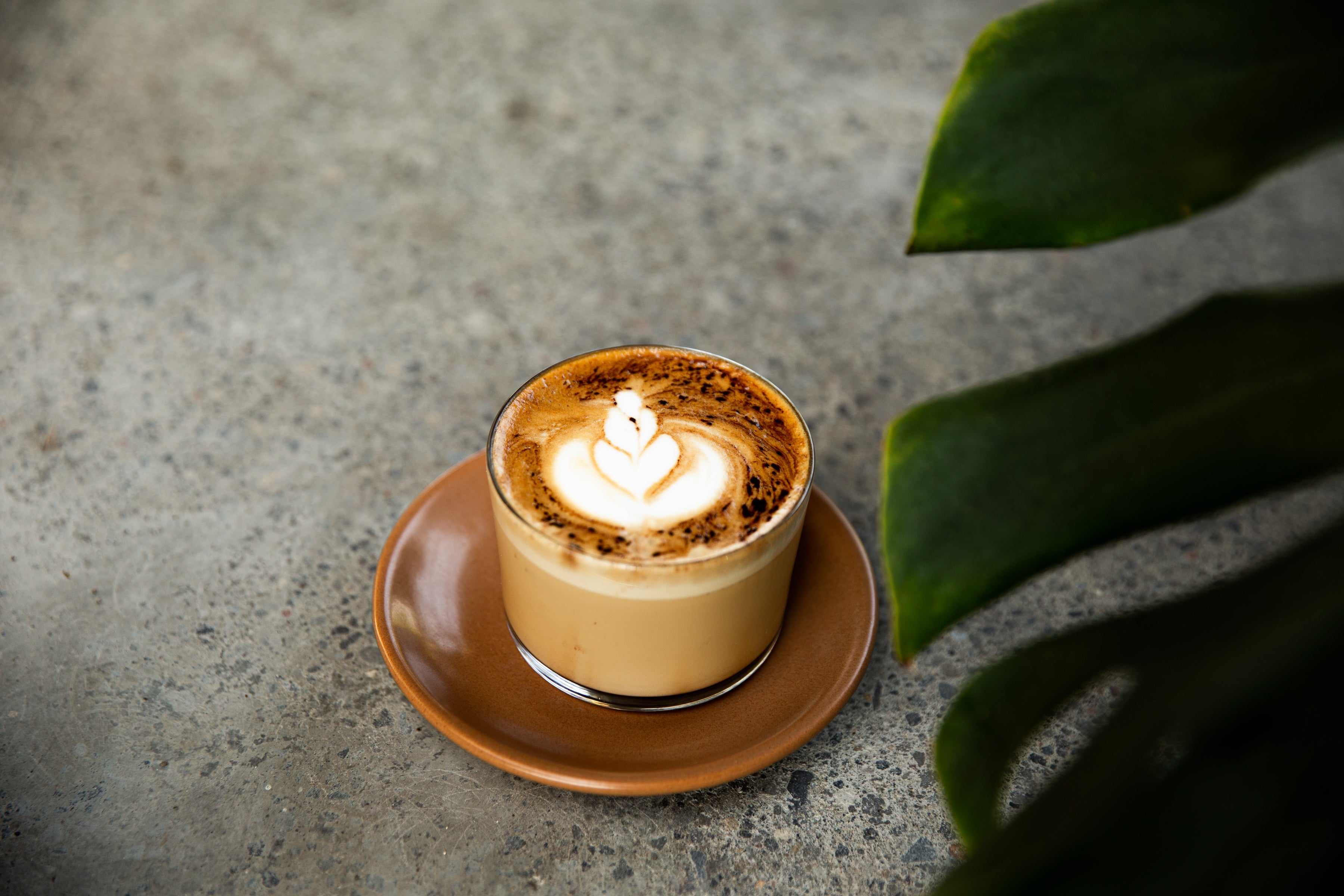 Ceremonial Cacao Elixir | Mood-Boosting Ritual