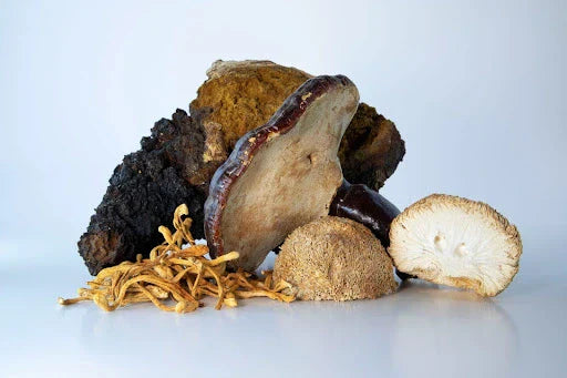 A variety of dried, antioxidant-rich adaptogenic mushrooms like Cordyceps and Reishi, known for boosting immunity and reducing stress.