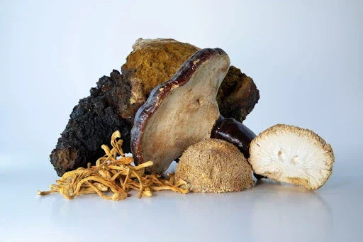The Ancient Art of Herbal Healing: How Traditional Wisdom is Backed by Modern Science