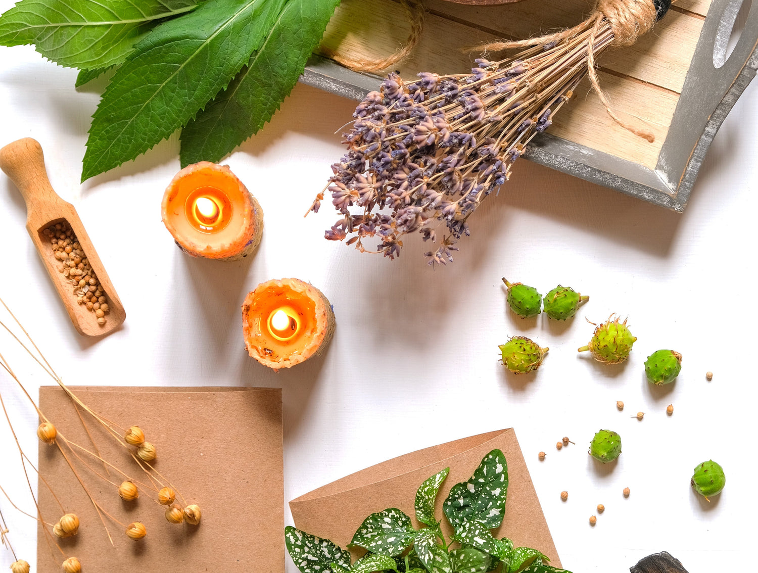 Alcami Elements blends nature and science for optimal health and wellness!