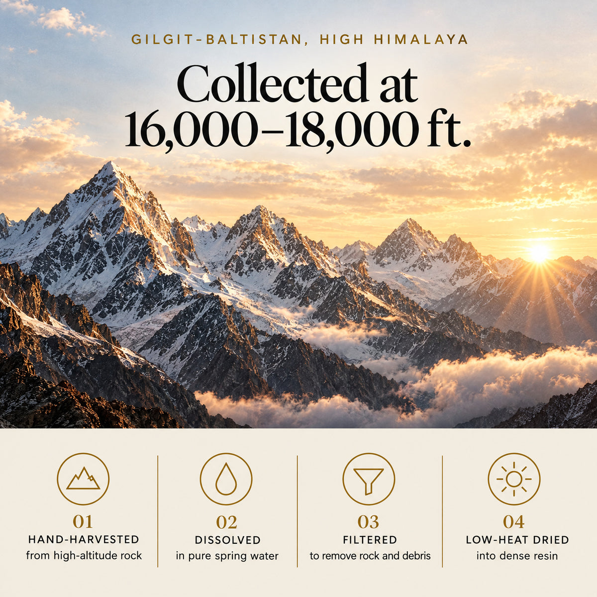Himalayan Shilajit