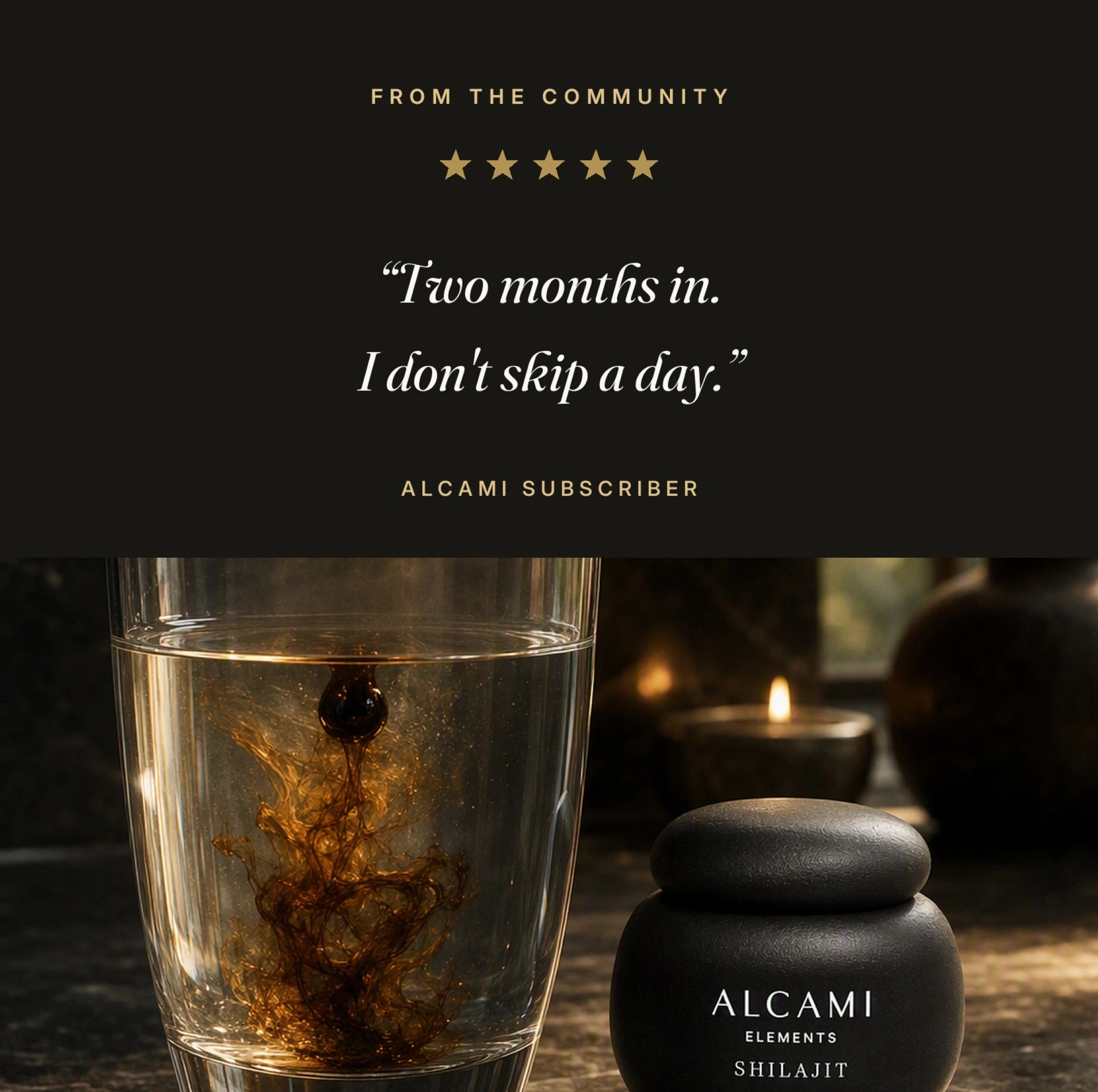 Himalayan Shilajit