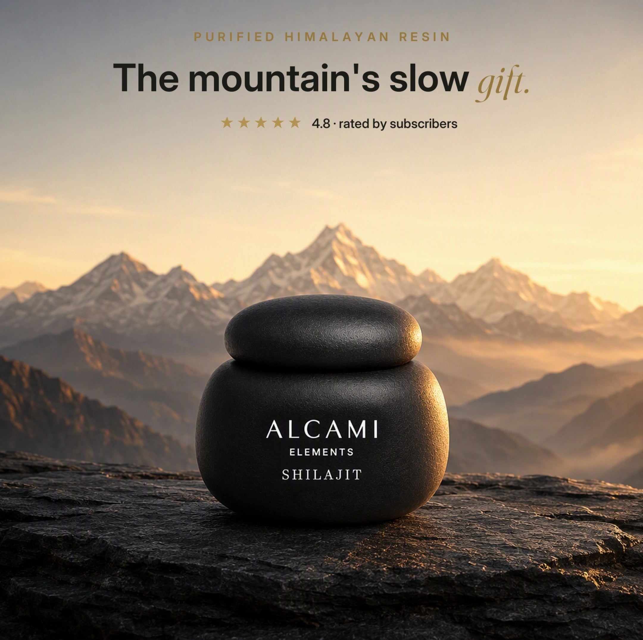 Himalayan Shilajit