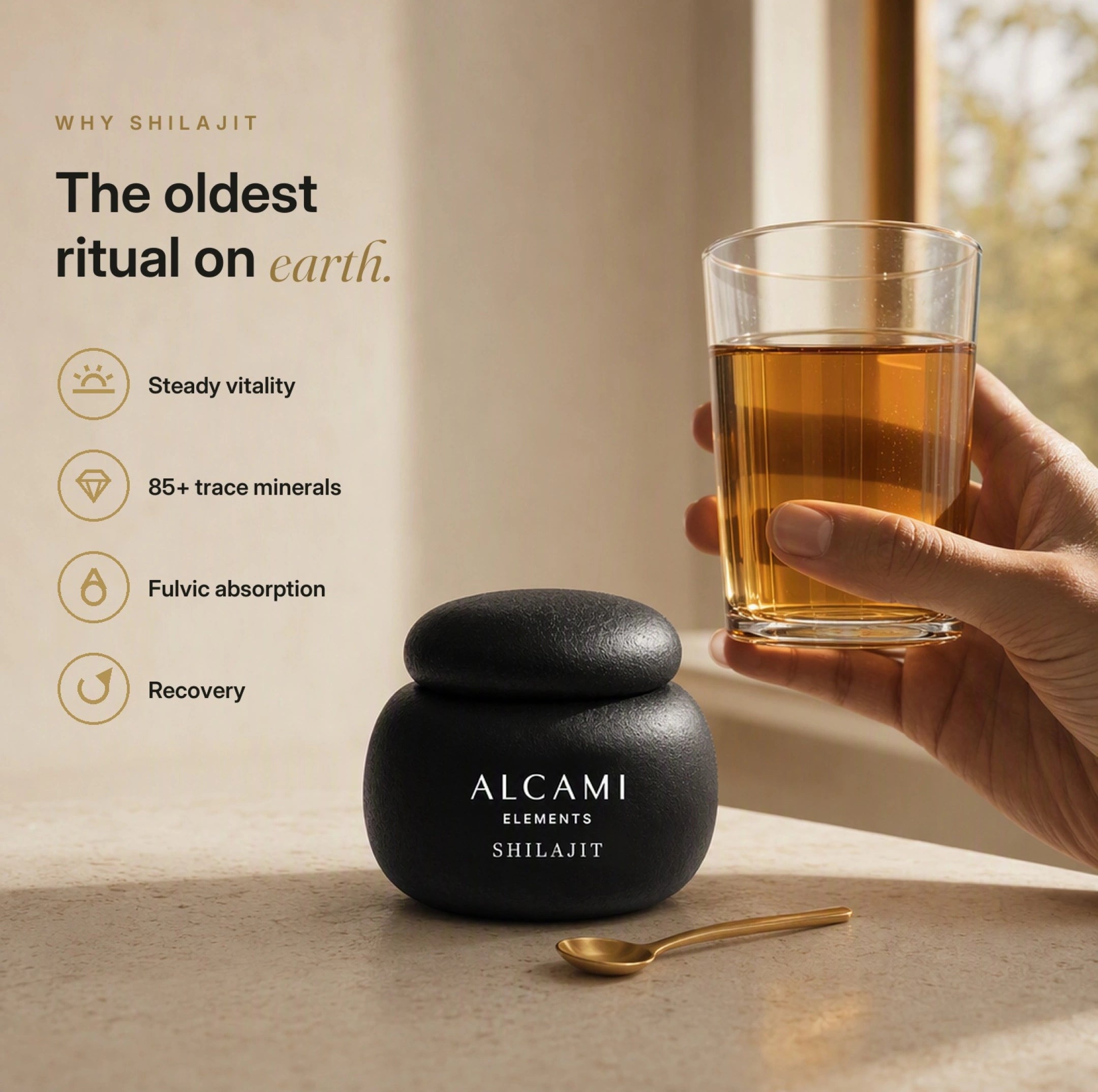 Himalayan Shilajit