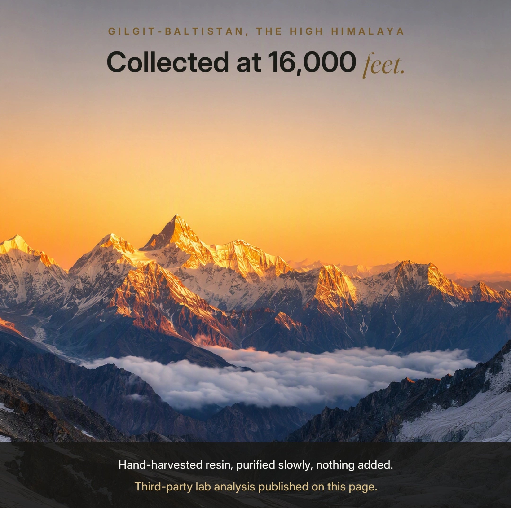 Himalayan Shilajit