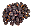 Mucuna Pruriens