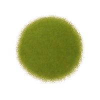 Smart Matcha