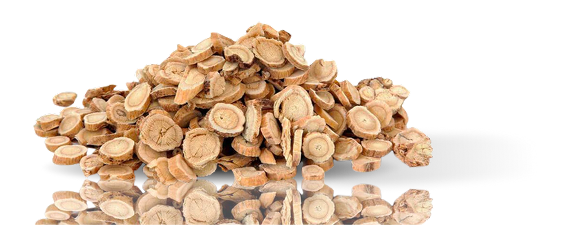 Astragalus Root