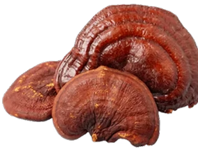 Alcamielements product image