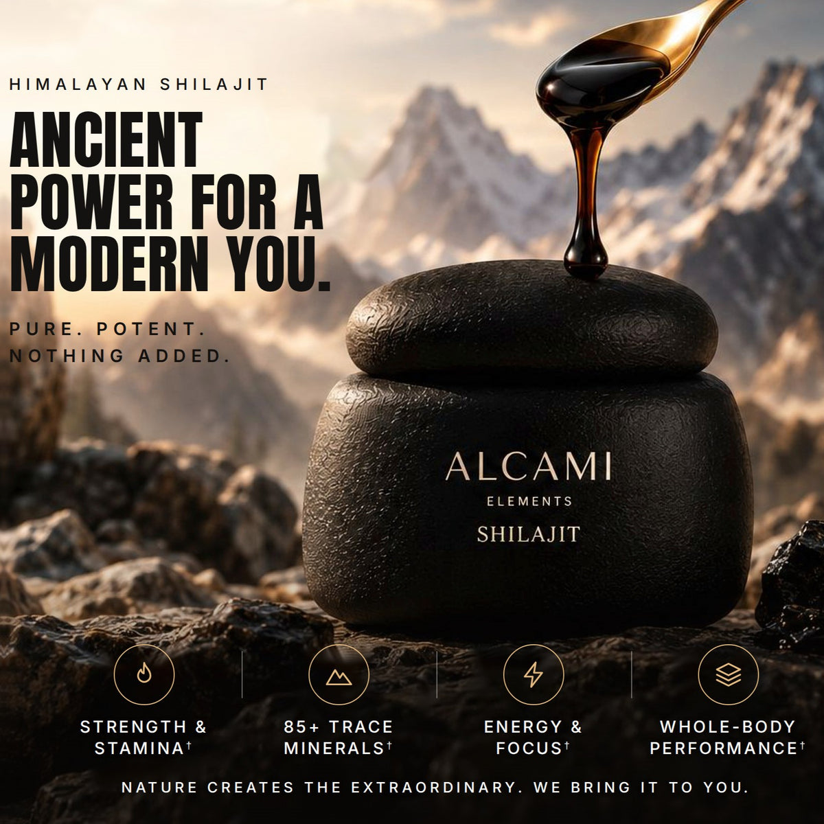 Himalayan Shilajit. Ancient power for a modern you. Pure, potent, nothing added. Strength and stamina, 85+ trace minerals, energy and focus, whole-body performance.